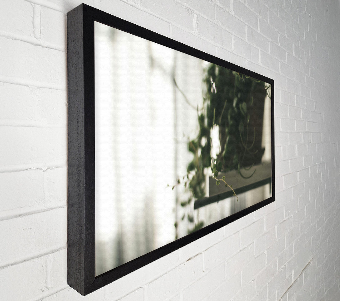  A Canvas Print of Green Hanging Vine Blur Canvas Wall Art