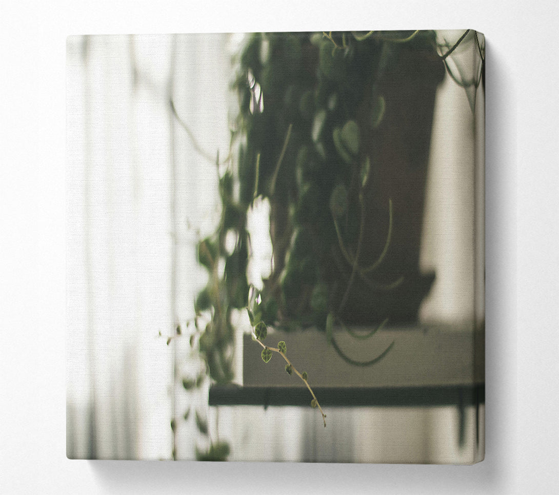  A Canvas Print of Green Hanging Vine Blur Canvas Wall Art