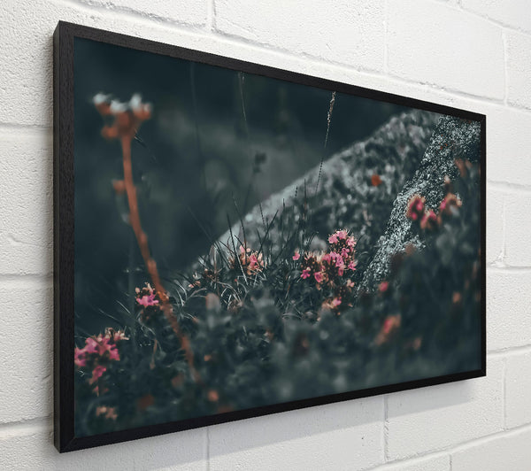 Pink Blooms In Grey