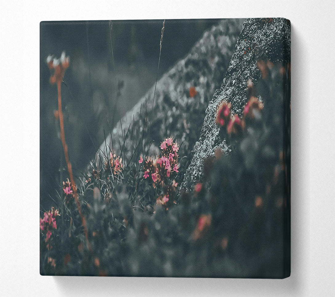  A Canvas Print of Pink Blooms In Grey Canvas Art