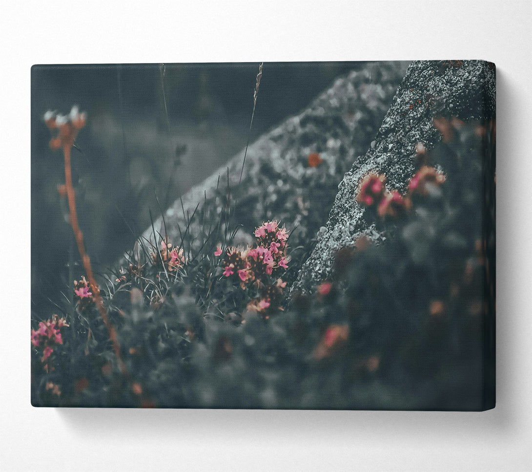  A Canvas Print of Pink Blooms In Grey Canvas Art