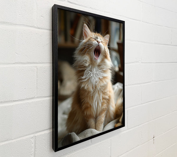 Golden Cat Yawn