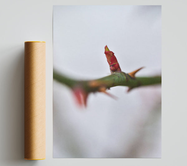 Crimson Bud'S Hope Poster