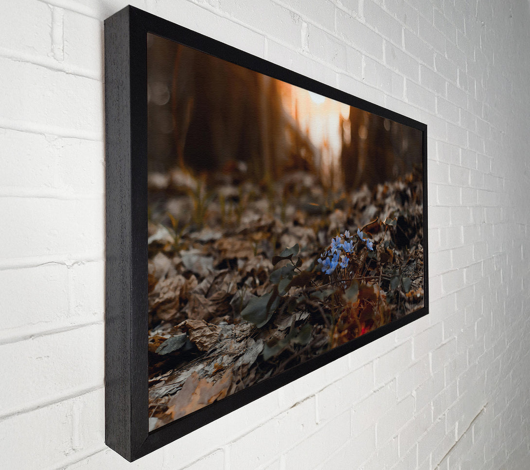  A Canvas Print of Blue Blooms In The Woods Canvas Print