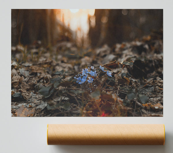 Blue Blooms In The Woods Giclee Print