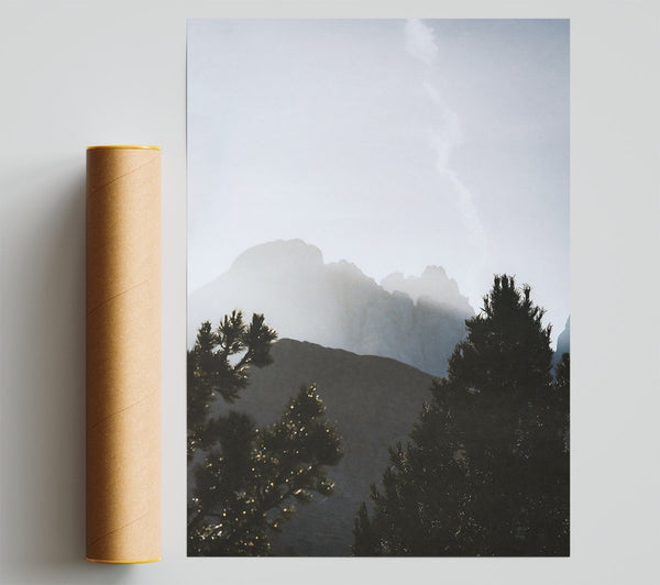 Silhouetted Pines In Grey Print