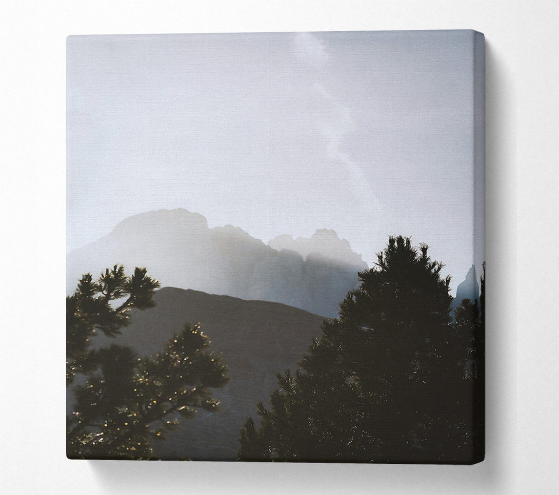 A Canvas Print of Silhouetted Pines In Grey Canvas Wall Art
