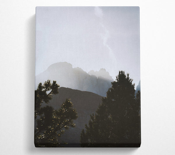  A Canvas Print of Silhouetted Pines In Grey Canvas Wall Art