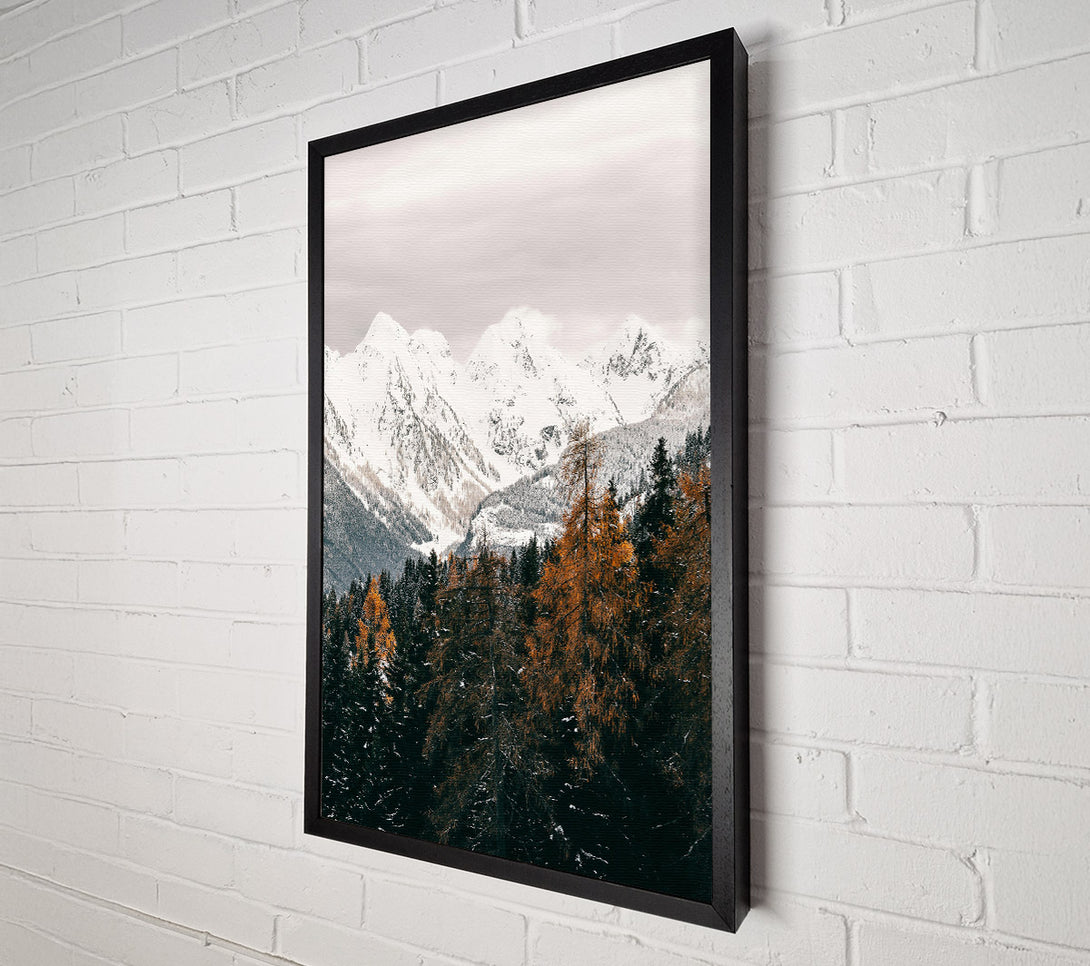  A Canvas Print of White Peaks And Amber Trees Canvas Wall Art