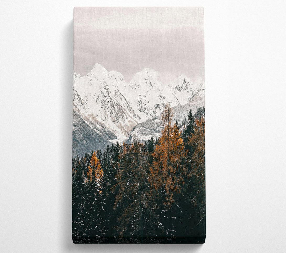  A Canvas Print of White Peaks And Amber Trees Canvas Wall Art