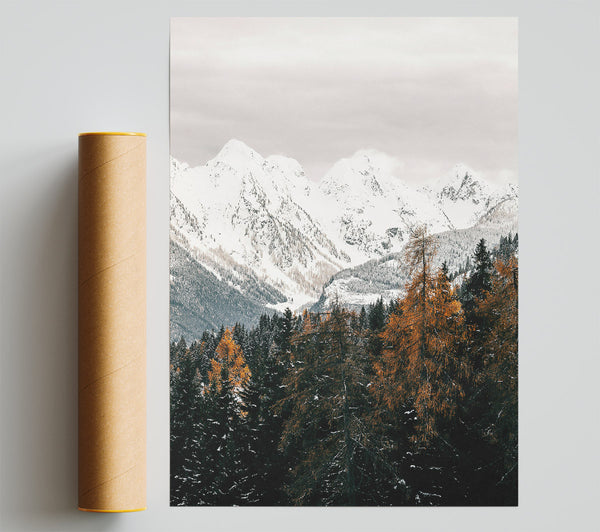 White Peaks And Amber Trees Giclee Print