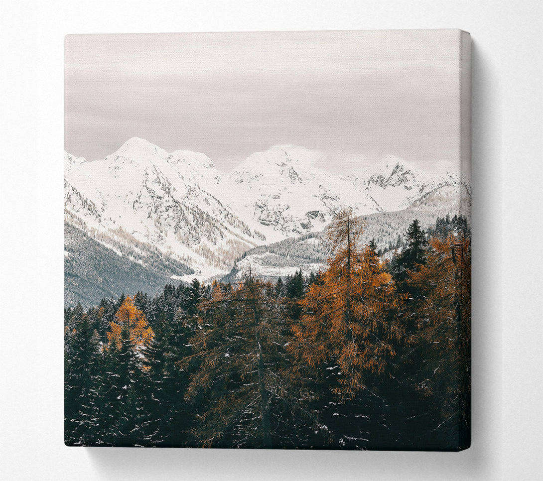  A Canvas Print of White Peaks And Amber Trees Canvas Wall Art
