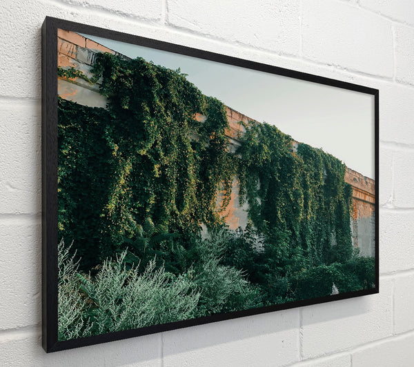 Green Wall Embrace