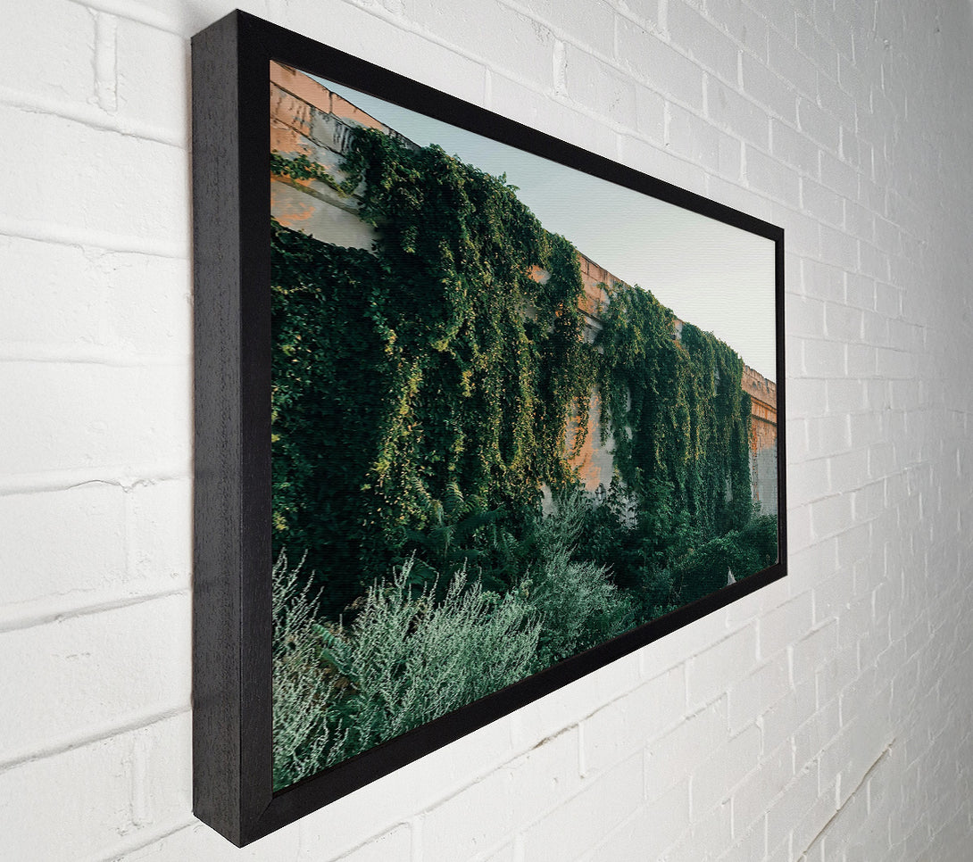  A Canvas Print of Green Wall Embrace Canvas Print