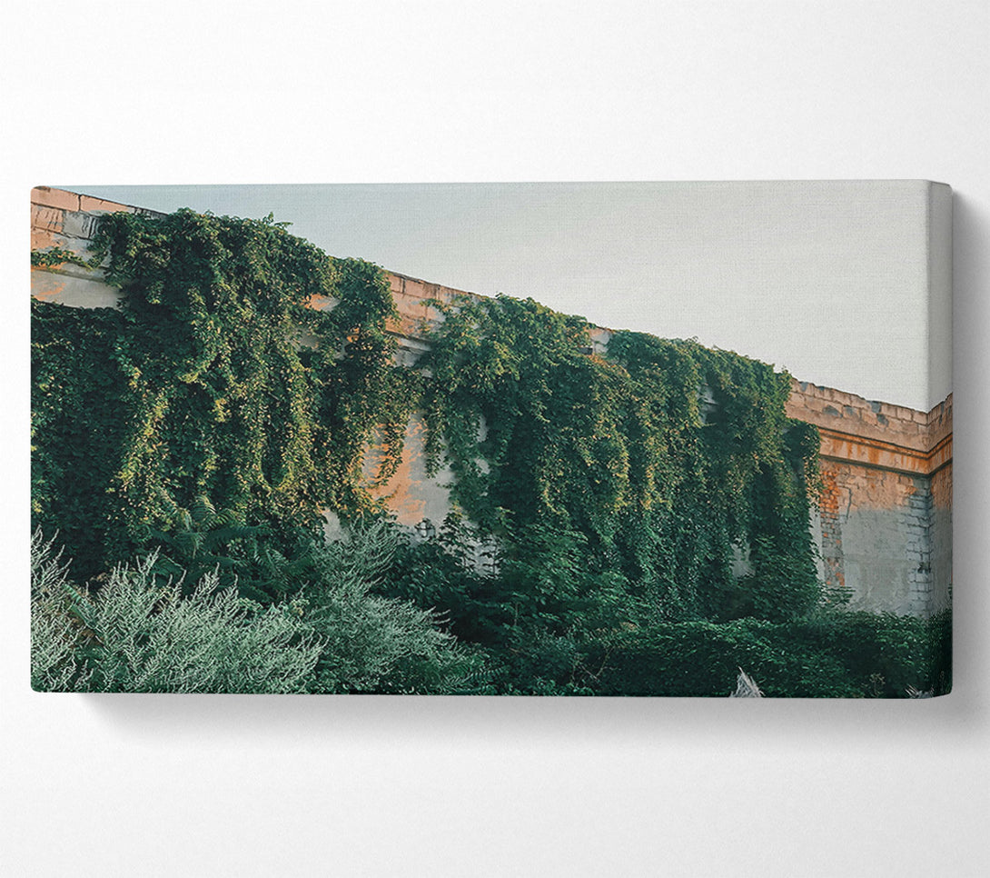  A Canvas Print of Green Wall Embrace Canvas Print