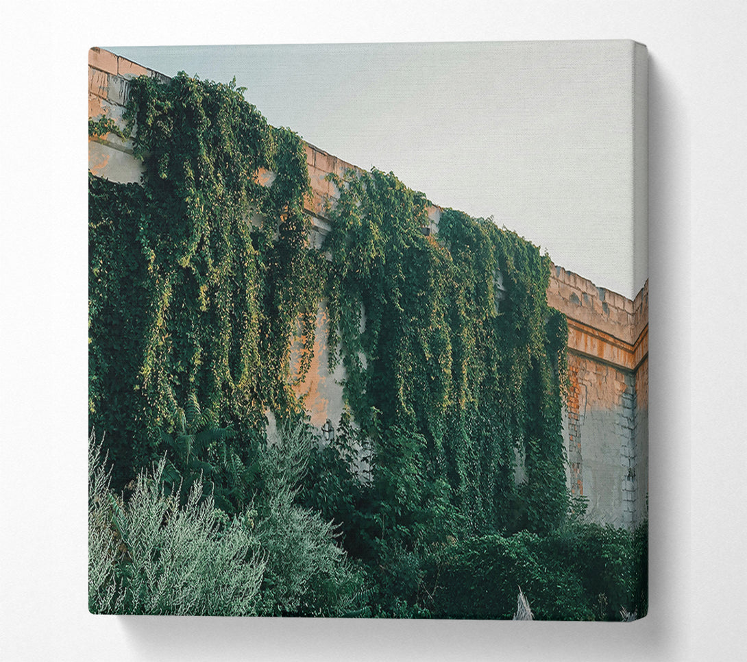  A Canvas Print of Green Wall Embrace Canvas Print