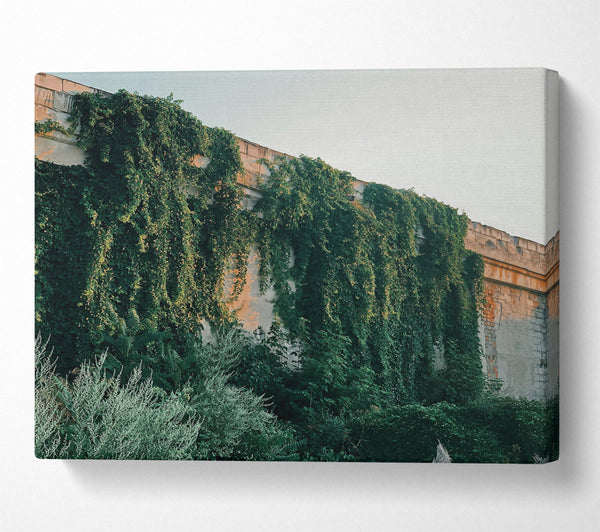  A Canvas Print of Green Wall Embrace Canvas Print