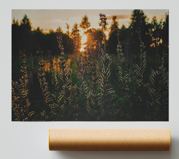 Golden Purple Sunset Giclee Print