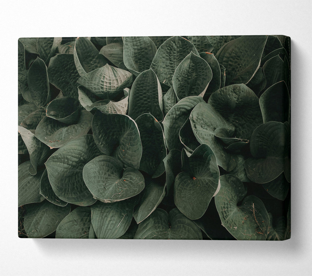  A Canvas Print of Emerald Leaf Embrace Canvas Art