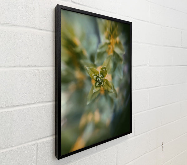 Green Bud Bloom