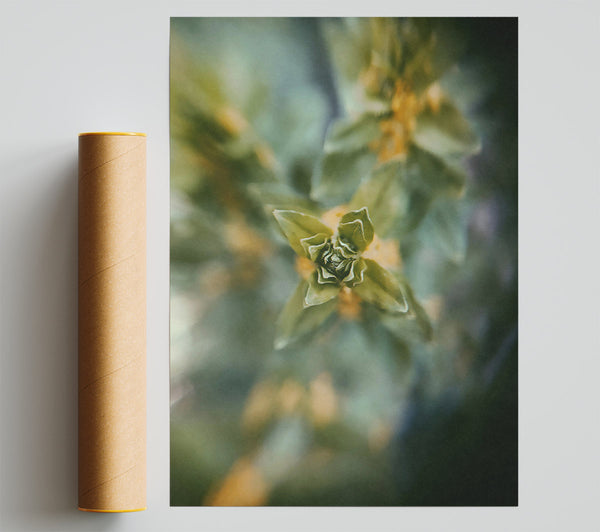 Green Bud Bloom Giclee Print