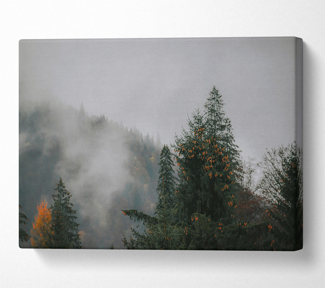  A Canvas Print of Loading... Canvas Print