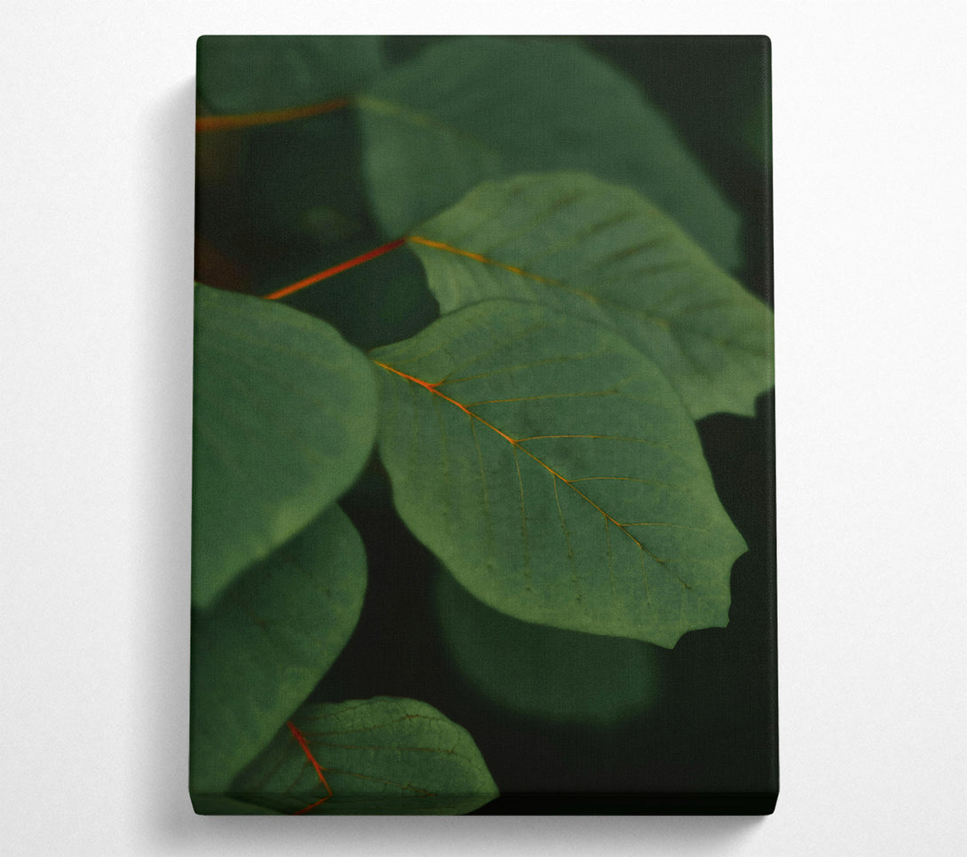  A Canvas Print of Emerald Green Veins Canvas Art