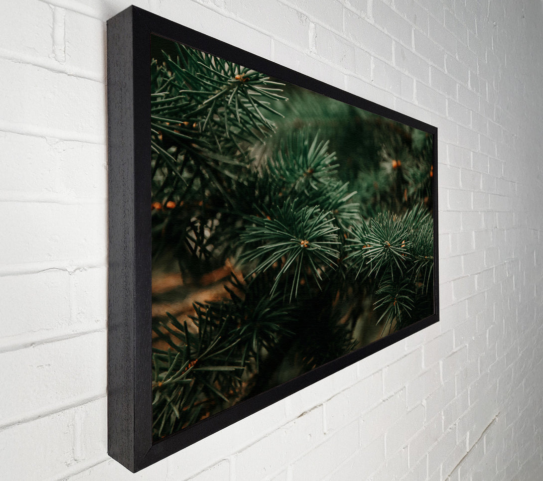  A Canvas Print of Emerald Evergreens Canvas Wall Art