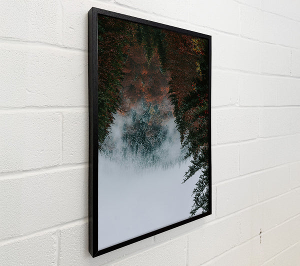 Red Leaves In Mist