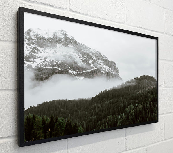White Peak And Forest Fog