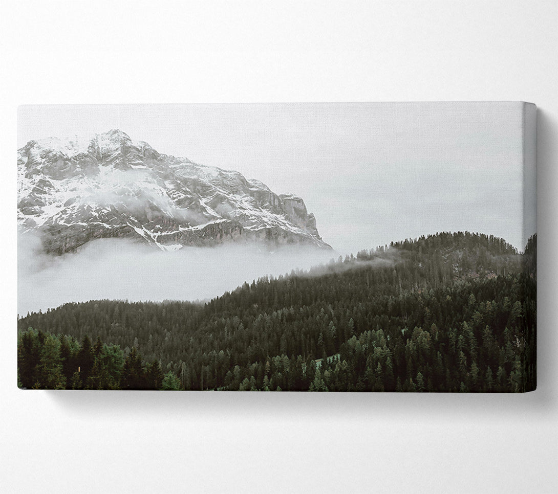  A Canvas Print of White Peak And Forest Fog Canvas Print