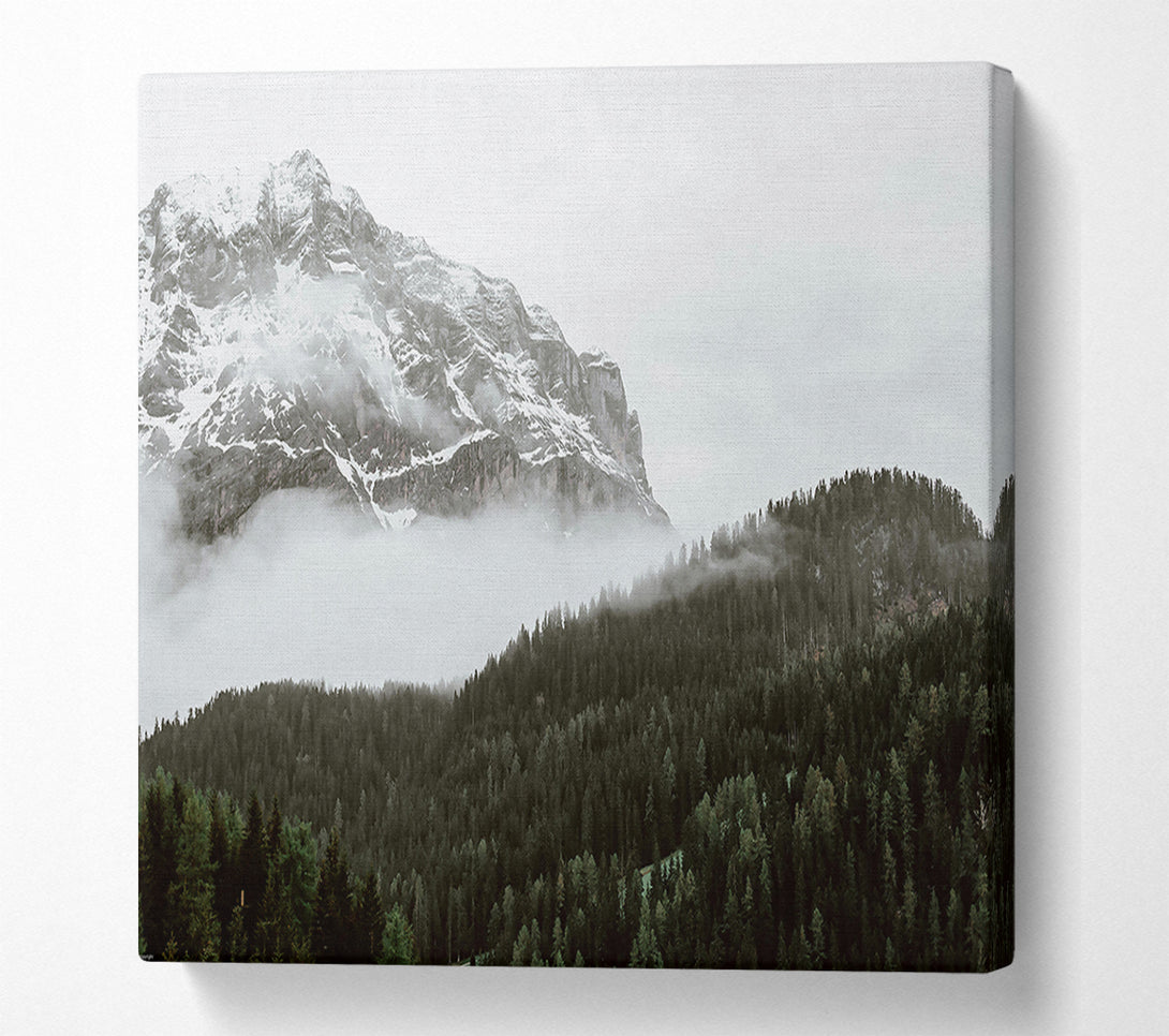  A Canvas Print of White Peak And Forest Fog Canvas Print