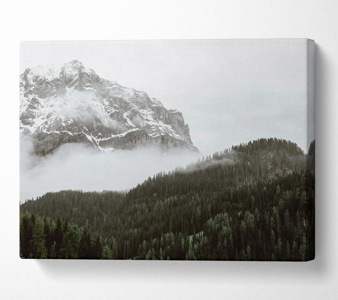  A Canvas Print of White Peak And Forest Fog Canvas Print