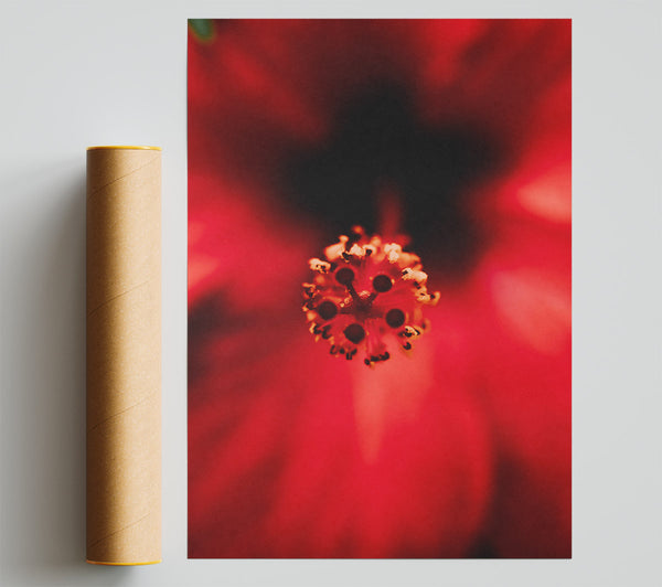 Crimson Flower Heart Print