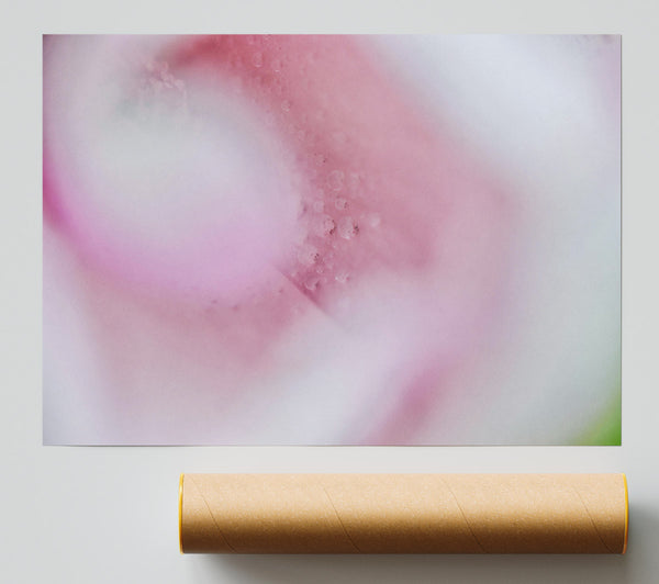 Soft Pink Embrace Poster