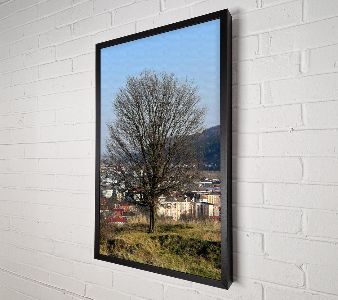  A Canvas Print of Bare Branches Over Green Hills Canvas Art