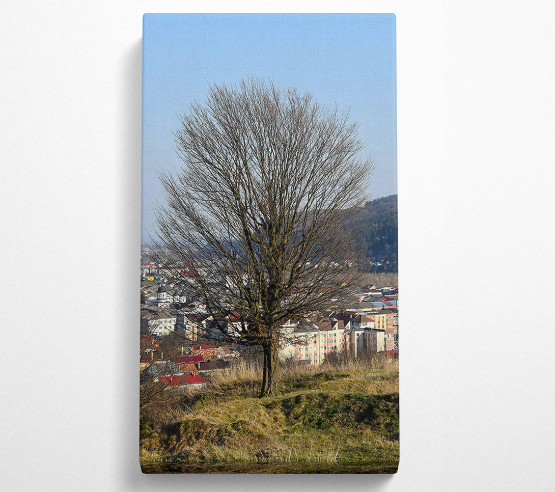  A Canvas Print of Bare Branches Over Green Hills Canvas Art