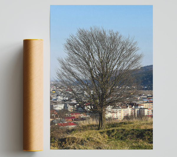 Bare Branches Over Green Hills Giclee Print