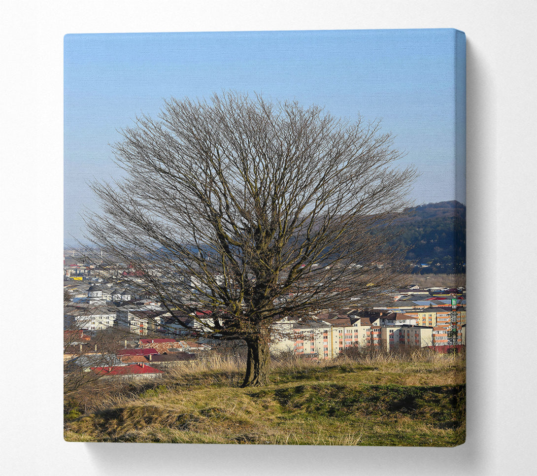  A Canvas Print of Bare Branches Over Green Hills Canvas Art
