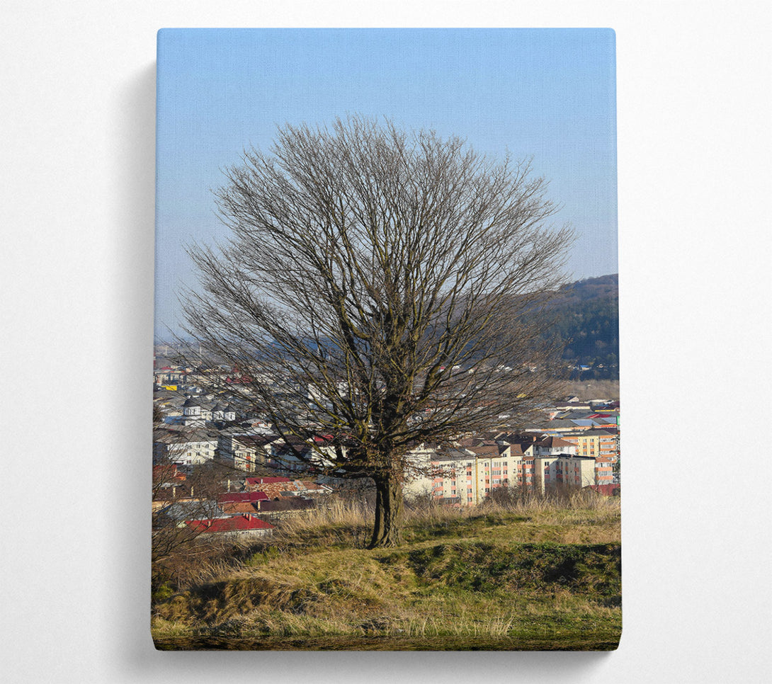  A Canvas Print of Bare Branches Over Green Hills Canvas Art