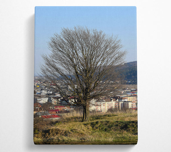  A Canvas Print of Bare Branches Over Green Hills Canvas Art