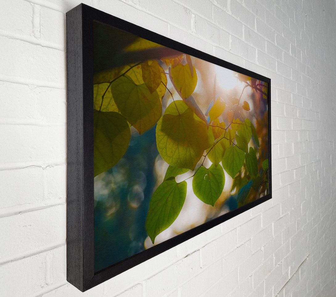  A Canvas Print of Golden Hour Leaves Canvas Wall Art