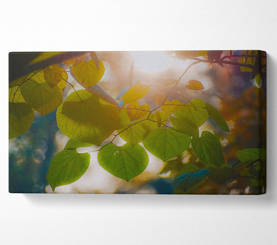  A Canvas Print of Golden Hour Leaves Canvas Wall Art
