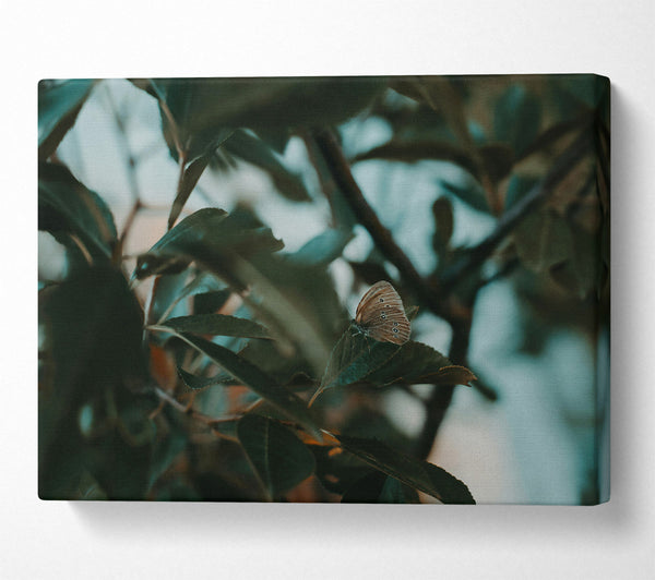  A Canvas Print of Emerald Butterfly Resting Canvas Wall Art
