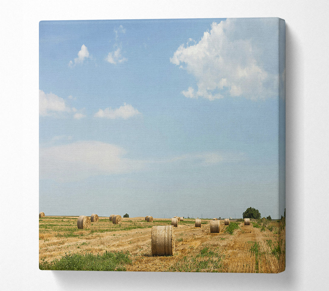  A Canvas Print of Golden Hay Bales Sky Canvas Art
