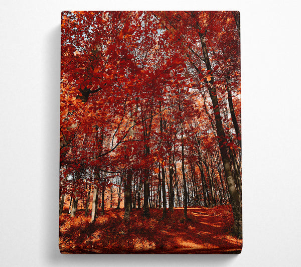  A Canvas Print of Crimson Canopy Dreams Canvas Wall Art