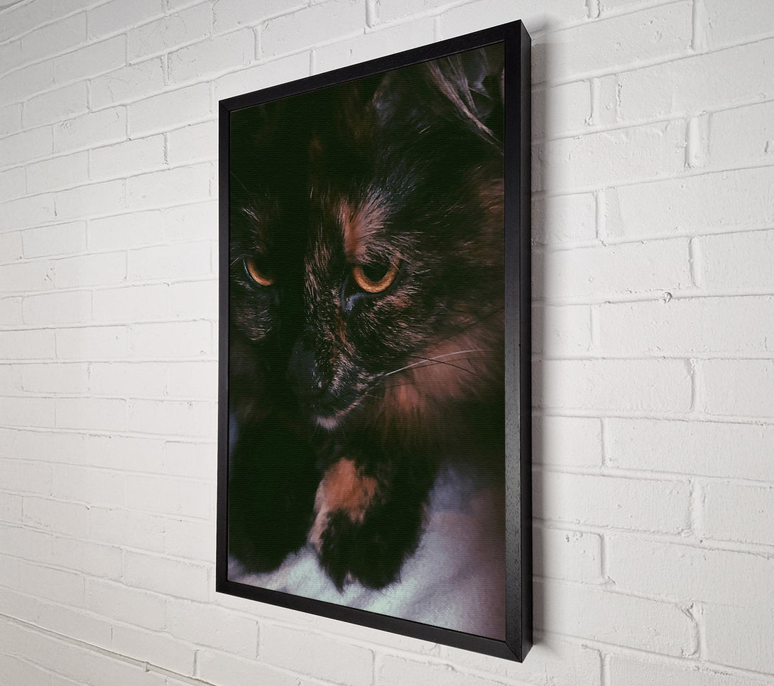  A Canvas Print of Golden Eyes In Shadow Canvas Art