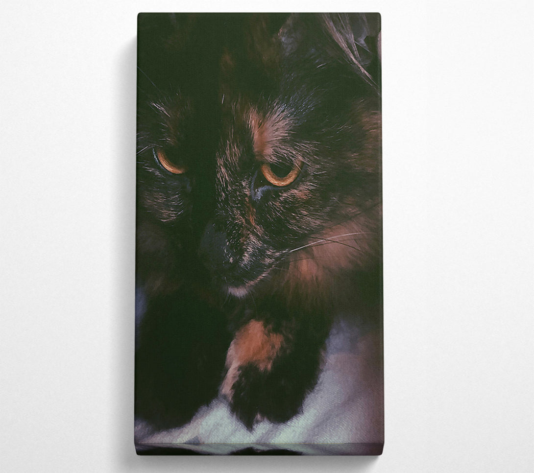  A Canvas Print of Golden Eyes In Shadow Canvas Art