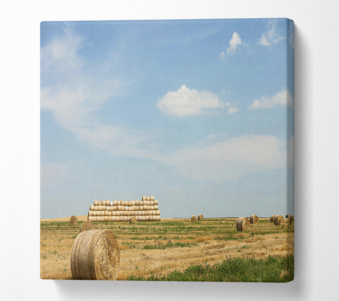  A Canvas Print of Golden Hay Stacks Canvas Art