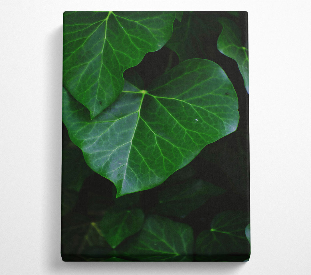  A Canvas Print of Emerald Green Veins Canvas Art